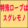 特殊ロープはスグレモノ。